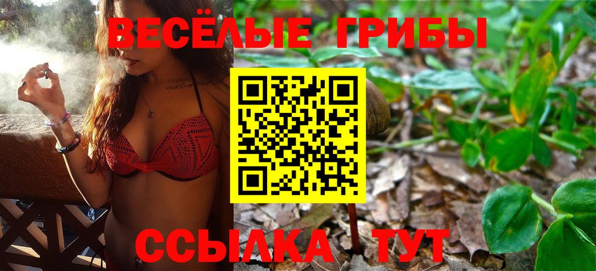 Сосновоборск  Псилоцибиновые грибы Psilocybine cubensis  продажа наркотиков  Псилоцибиновые грибы Psilocybine cubensis  Вход с VPN 